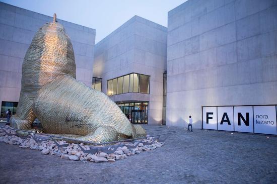 el Museo MAR